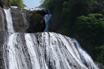 夏の袋田の滝