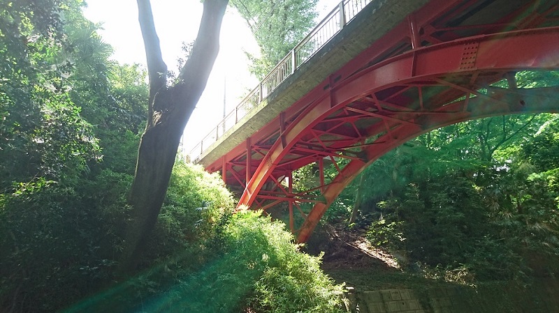 木漏れ日と下から眺める橋2
