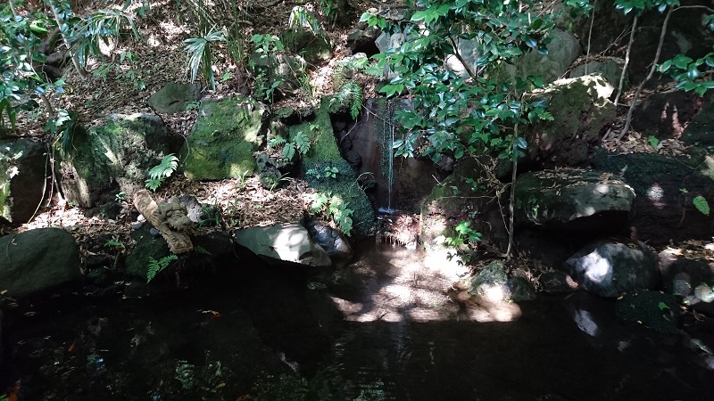 甘味処・雪月花の池に流れる滝