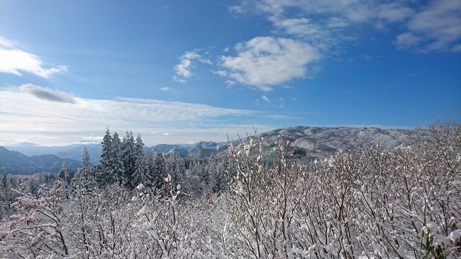 晴天の雪景色